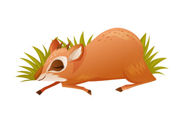 Brown Dik-dik as African Small Antelope with Horns Sleeping Lying in Green Grass Vector Illustration