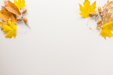 Autumn flat lay. Golden maple and oak leaves, acorns on white background, copy space. Top view © Irina Mikhailichenko