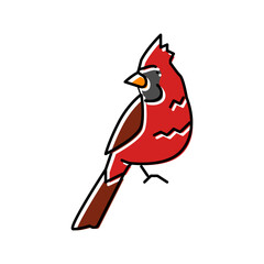 northern cardinal bird exotic color icon vector illustration
