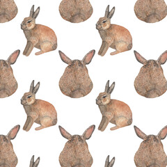Hare pattern.Farm.Watercolor print on white background.Natural hand drawn pattern