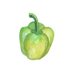 Pepper.Farm illustration.Watercolor set of elements on white background.