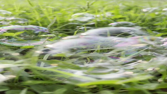 Soap bubbles on grass