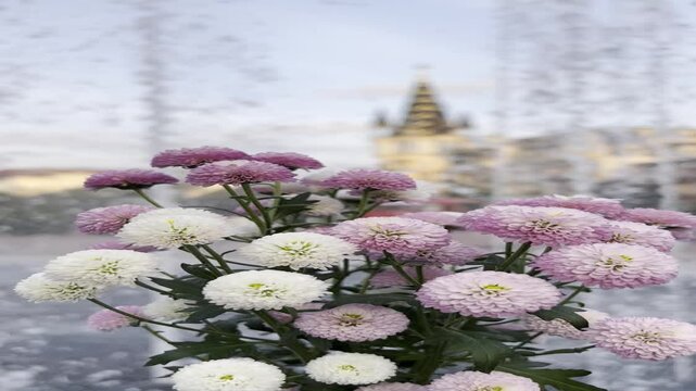 Flowers and water fountain