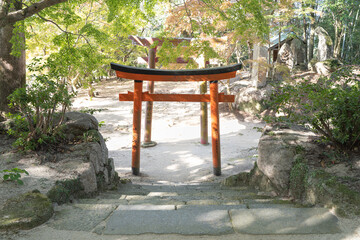 神社　竈門神社の鳥居の壁紙