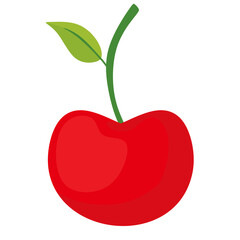 Cherry Fruits Illustration