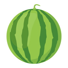 Watermelon Fruits Illustration