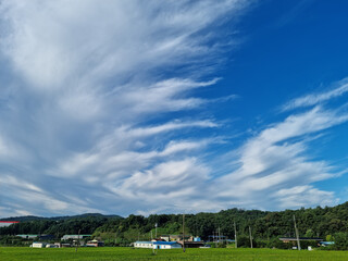 Fototapeta na wymiar Sky and rural landscape with nice clouds.