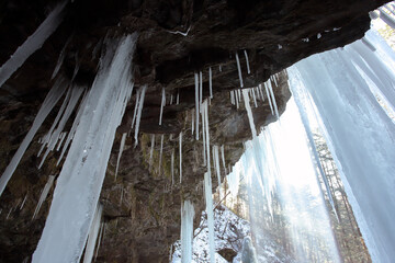 長野県の氷瀑と氷柱