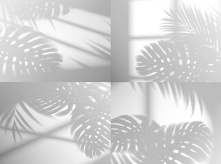 Window shadow light with monstera leaves. Vector overlay effect with tropical plant branches on wall. Realistic light blinds through jalousie and glass frame. Soft floral shades on white background