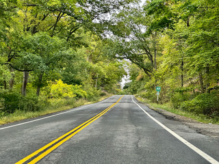 Landstraße durch Wald in Nordamerika