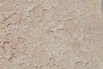 Beige texture of the wall