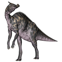 Fototapeta premium Saurolophus dinosaur - 3D render