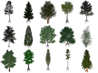 Set or collection of common trees - 3D render - 545950744