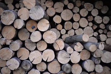 Möbelaufkleber rown logs, firewood for home heating in winter, pine, oak logs, wood, heating in winter, without gas and electricity, preparation for winter to keep warm in winter, even firewood cut and stacked symm © Анна Климчук