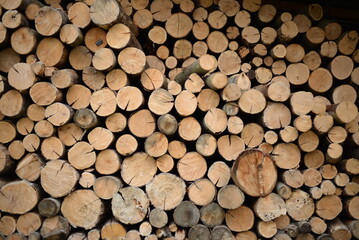 rown logs, firewood for home heating in winter, pine, oak logs, wood, heating in winter, without gas and electricity, preparation for winter to keep warm in winter, even firewood cut and stacked symm