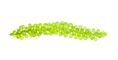 Sea grapes ( green caviar ) seaweed on transparent png - obrazy, fototapety, plakaty
