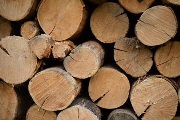 brown logs, firewood for home heating in winter, pine, oak logs, wood, heating in winter, without gas and electricity, preparation for winter to keep warm in winter, even firewood cut and stacked symm