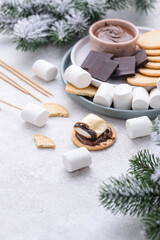 Fototapeta na wymiar Smores with marshmallow, chocolate and crackers
