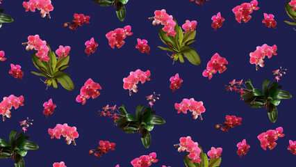 Fototapeta na wymiar Seamless pattern with pink orchid flowers on a blue background