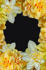 Beautiful decorative floral frame with daffodils flowers