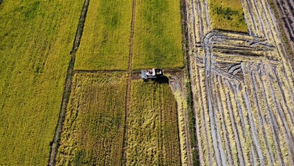 Thailand rice field with drone