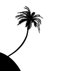coconut tree illustration