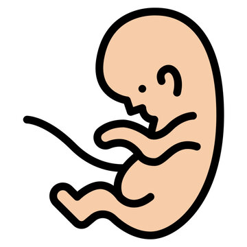 recommend clip art: fetus baby unborn fertilization icon