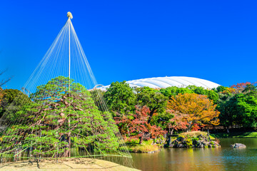 東京　秋の小石川後楽園