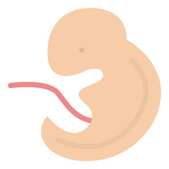 embryo unborn fertilization pregnancy icon
