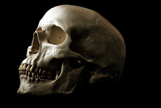 a human skull against black background