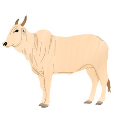 buffalo illustration with hand drawn