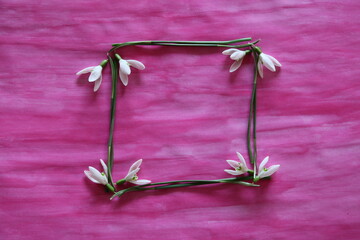 Schneeglöckchen Rahmen auf Hintergrund in Pink verwaschen