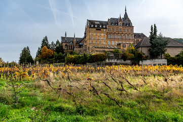 Das Kloster Kalvarienberg in Walporzheim mit Weinreben nach der Flutkatastrophe von 2021 im Herst...