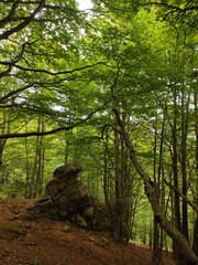 Parc naturel catalogne fran&ccedil;aise 
