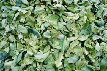 a pile of cabbage leaves