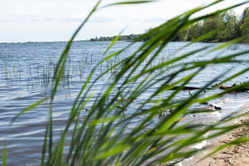 Lake Michigan Coast
