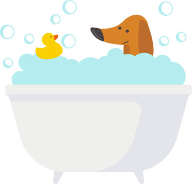 Dog bathe Pet on bath flat icon Favourite yellow duck