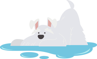 Small dog bathe flat icon Care and love
