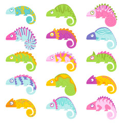 Chameleons flat icons set. Different color of lizards. Jungle and desert animal. Veiled chameleon, cute reptiles. Color isolated illustrations