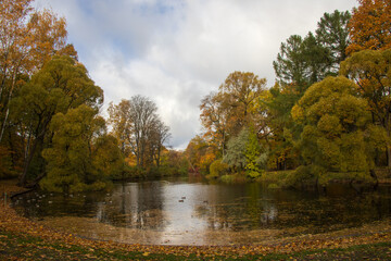 View of the autumn pond