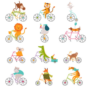 Animals on bike flat icons set. Different wild animals ride on bicycle. Giraffe, fox in coat, crocodile, dog, lion and rabbit go sport. Bicycles for group driving. Color isolated illustrations