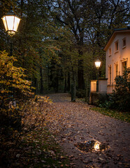 Branitzer Park am Abend