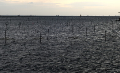 木更津の海　夕方