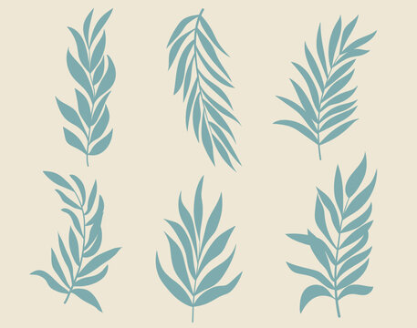 Set of vector silhouettes of bright tropical leaves. Isolated on a white background. Drawing sketches of leaves. Silhouettes of tropical leaves. Tropical palm leaves.