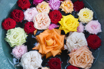 かのやバラ園の薔薇の花手水