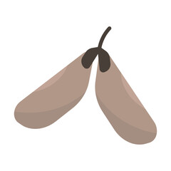 trees vector maple seeds isolated illustration