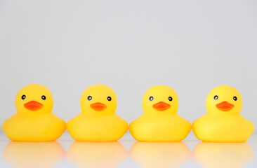 Four yellow rubber ducks in a row, with reflection, organisation concept, get one’s ducks in a...