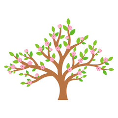 This is a blooming tree on a white background.