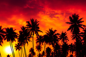 Fototapeta na wymiar Sunset on tropical beach with coconut palm trees silhouettes and shining sun