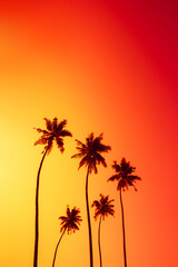 Coconut palm trees silhouettes on tropical beach with clear colorful golden sunset sky as copy space
